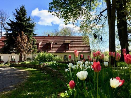 Hotel Schloss Plaue