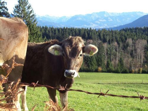 Apartamento Ferienpark-ritter