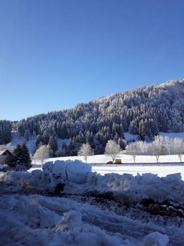 Apartamento Ferienpark-ritter