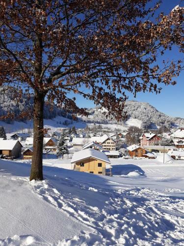 Apartamento Ferienpark-ritter