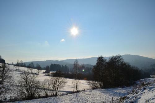 Das Fritz Hotel Der B�ume