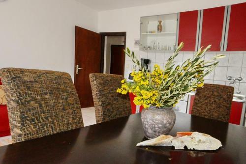 Apartment Pirovac 6447a