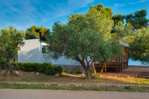 Croatia Camp Mobile Homes Pirovac