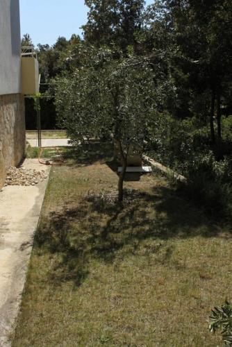 Apartment Petrcane 3288e