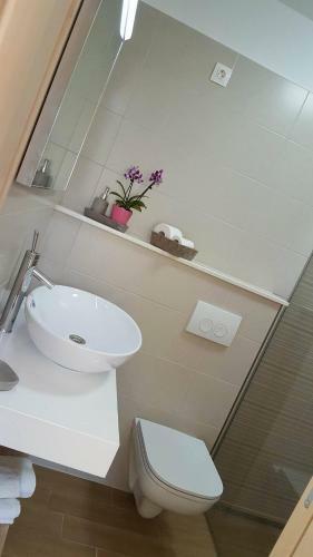 Hostal Apartments Iva