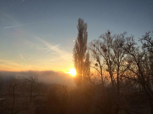 Apartamento Bauernstube H�hn-gut