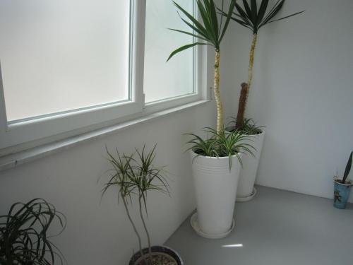 Apartment Veronika 047-105
