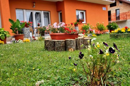 Hostal Apartment Sabina