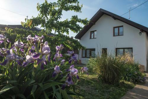 Apartments Osijek By The River