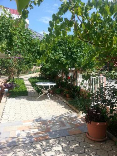 Apartamentos Studio Orebic 11834a