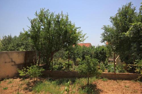 Apartments And Rooms With Parking Space Orebic (peljesac) - 10191