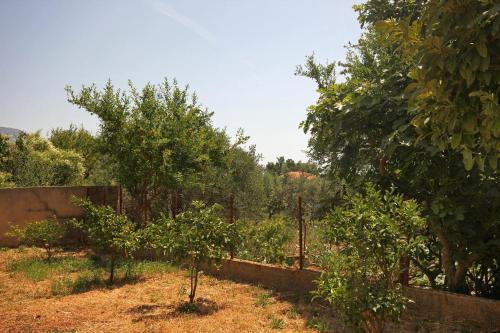 Apartments And Rooms With Parking Space Orebic (peljesac) - 10191