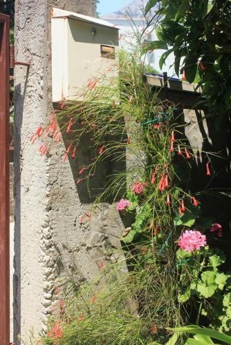 Apartamentos Studio Orebic 4516a