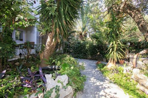 Apartments Garden