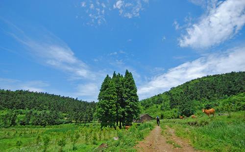 Prodigy Hostel Mogan Mountain