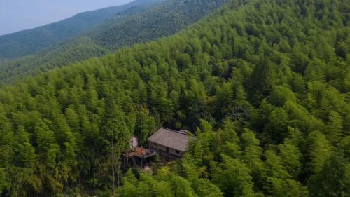 Prodigy Hostel Mogan Mountain