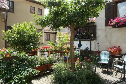 Hostal Haus Jutta