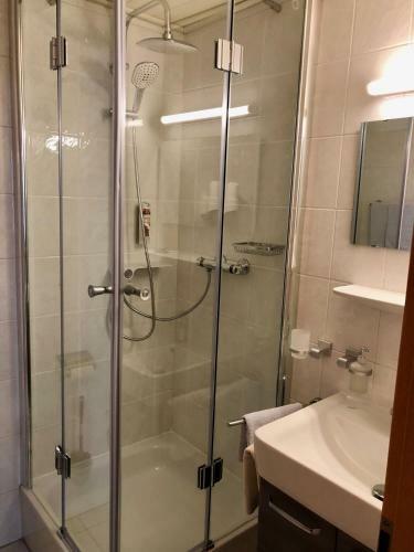 Hostal Hotel Garni Zum Rebstock