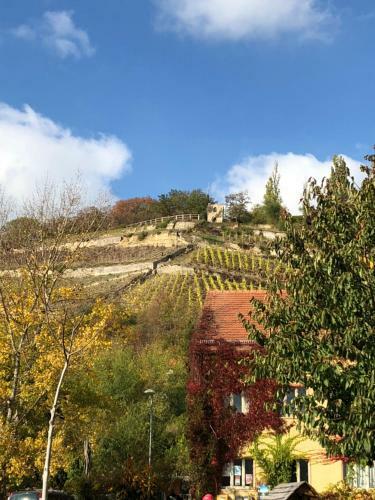 Hostal Hotel Garni Zum Rebstock
