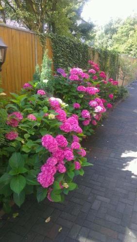Hostal Hotel Refrather Hof