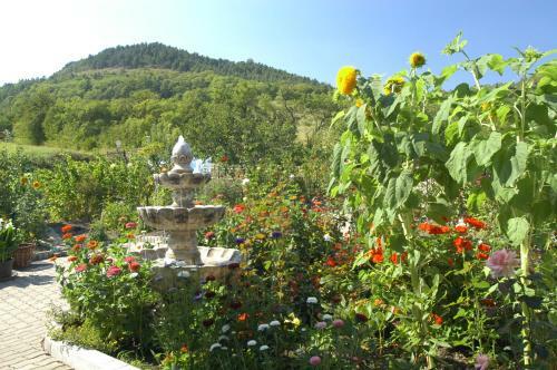 Hotel Haus Orchideental