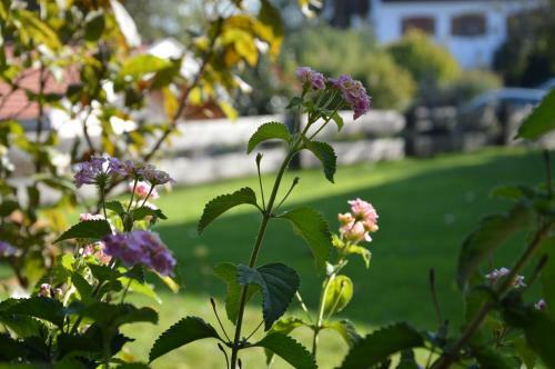 Hostal Pension Willibald