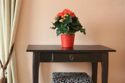Hostal G�stehaus Sonnenkreis