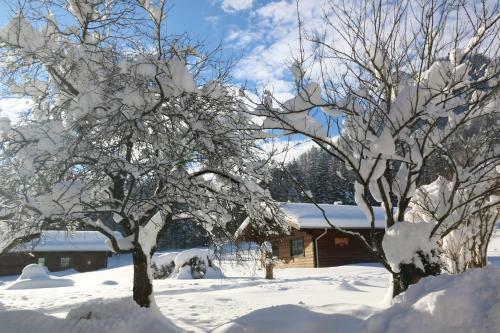 Chalets & Apartments Beim Waicher