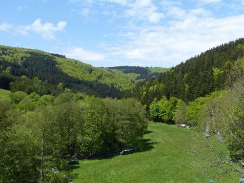 Hostal Cafe-pension Waldesruh