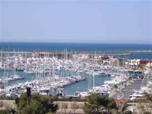 Apartamentos Olivar