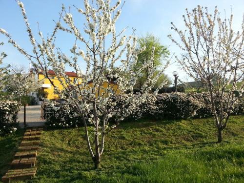 Hostal Osteria Da Cesare E Locanda