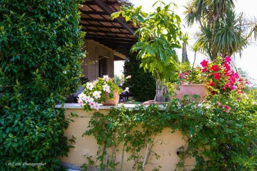 Bed & Breakfast Il Casale Del Sogno