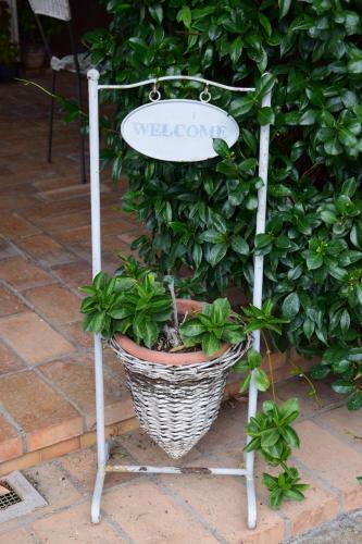 Bed & Breakfast Il Casale Del Sogno