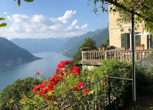 B&B Le Ortensie