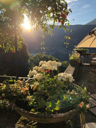 B&B Le Ortensie