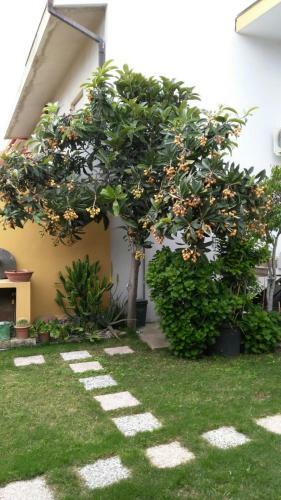B&B La Zagara