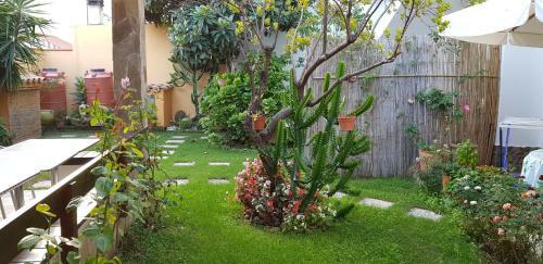 B&B La Zagara
