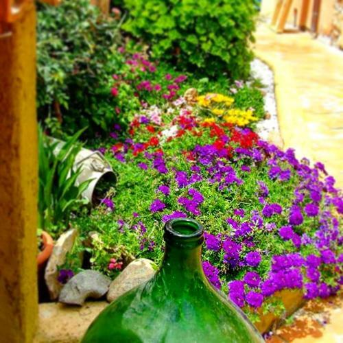 Bed & Breakfast Sa Specula