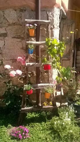 Bed & Breakfast Sa Specula