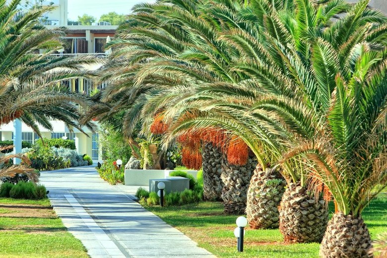 Hotel Santa Marina