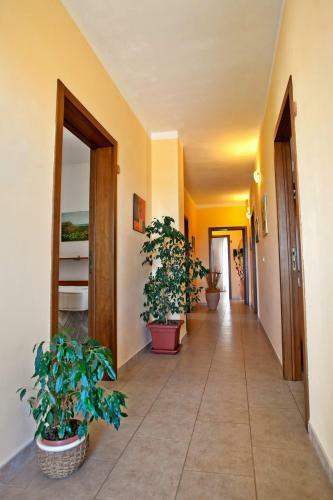 Bed & Breakfast Aia Grande
