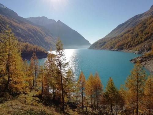 Apartamento Appartamenti Luseney