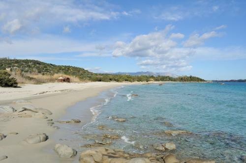 Bed & Breakfast La Pavoncella