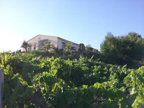 Bed & Breakfast La Suite Di Segesta