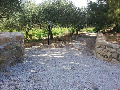 Bed & Breakfast La Suite Di Segesta
