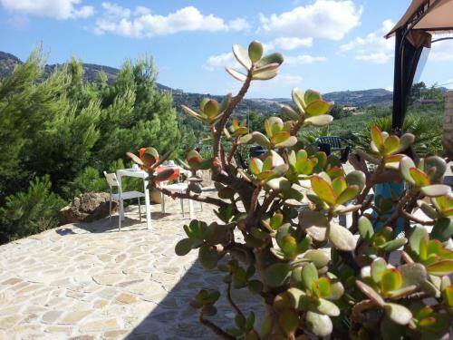 Bed & Breakfast La Suite Di Segesta
