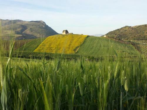Bed & Breakfast La Suite Di Segesta