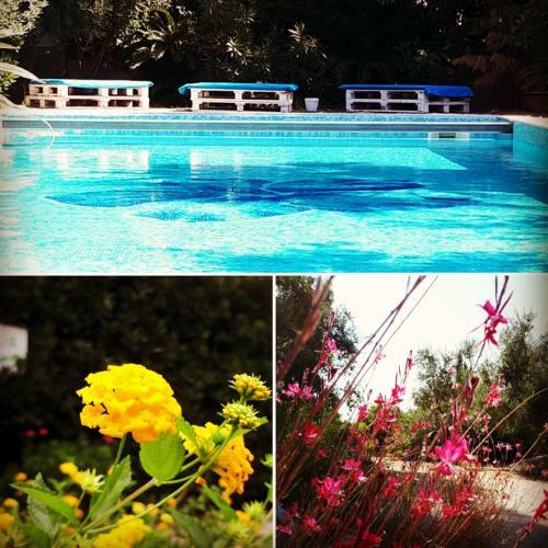 Agroturismo Agriturismo Le Vedute
