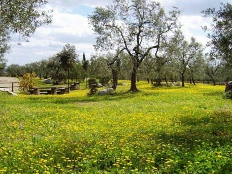 Agroturismo Agriturismo Le Vedute