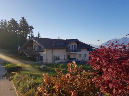 Hostal Affittacamere Dolce Sogno